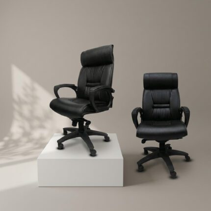 Executive Ortho Revolving Chair