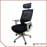 Regal Ergonomic Chair