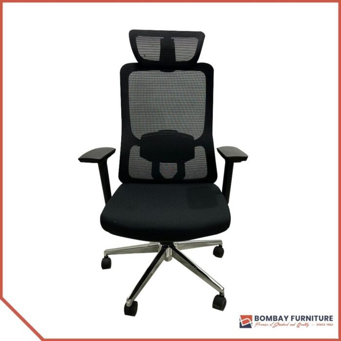 ErgoFlex Supreme chair