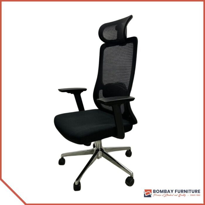 ErgoFlex Supreme chair