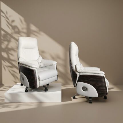Zenith Executive Throne